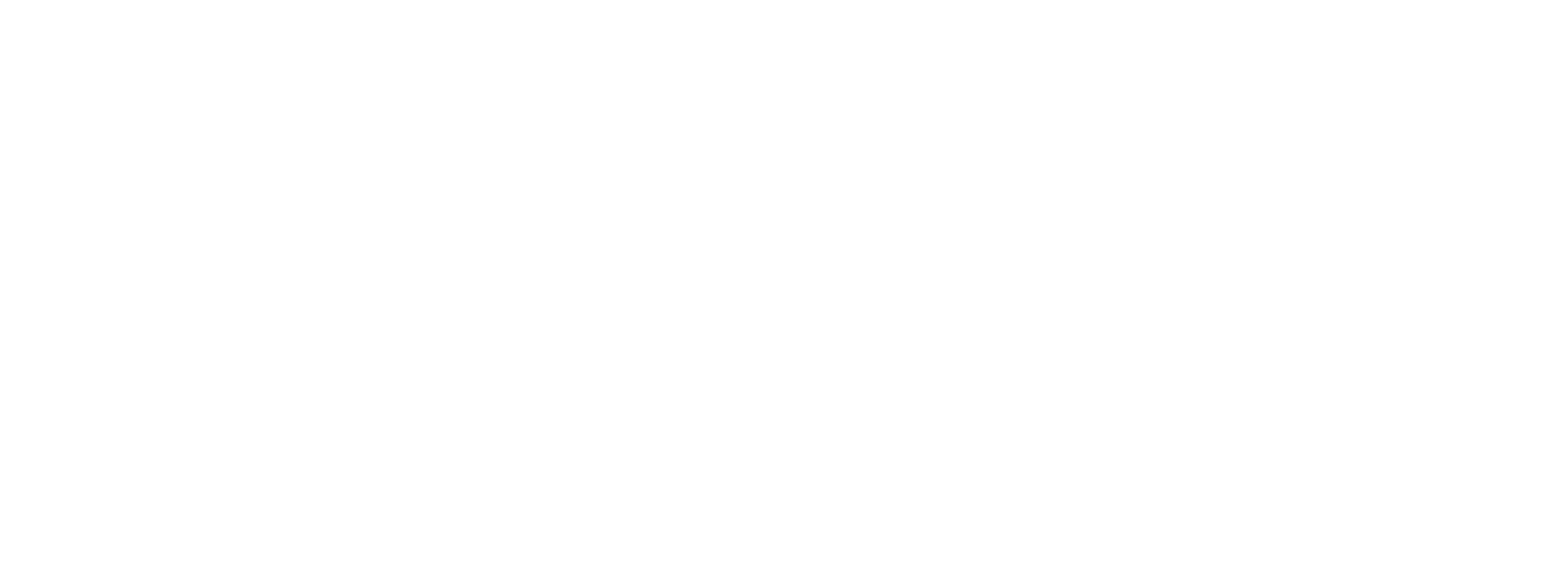 Bitso Logo